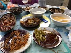 -鑫淼馫农家乐餐馆