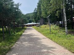 -五营红松林海景区