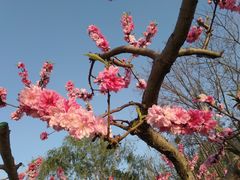 -廊坊文化艺术中心