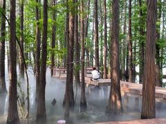 -东湖落雁景区