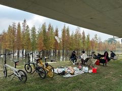 -白鹭湾湿地公园