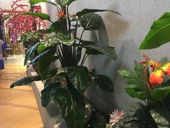 -丽池宫韩式汗蒸会馆(华灯坊店)