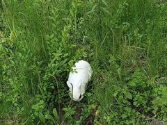 -白塘生态植物园