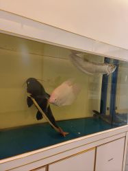 -FUMEIHUI·科技美肤·美体SPA