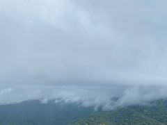 -海南霸王岭国家森林公园