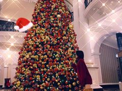 -LONG BAR 廊吧(外滩华尔道夫酒店)