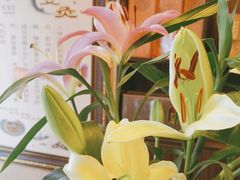 -莱仪堂艾灸经络养生馆(九亭一店)