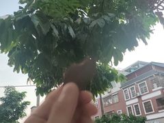 -正果忠记云吞濑粉(总店)