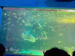 -常州海昌海洋探索馆
