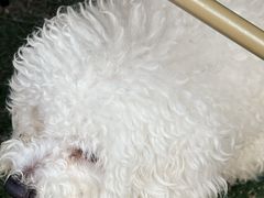 -白石龙音乐公园