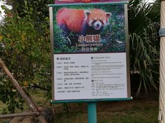 -灵玲国际马戏城