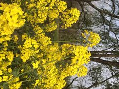 iphone_upload_pic-溱湖国家湿地公园