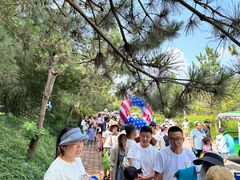 -日照海滨国家森林公园