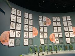 -中国湿地博物馆