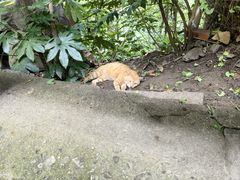 -狼山风景名胜区