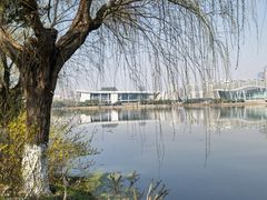 -月湖风景区