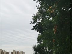 -南翠屏公园