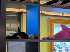 -童趣廊·儿童波波池·海洋球(长隆横琴湾酒店)