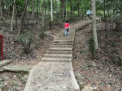 -上海佘山国家森林公园天马山园