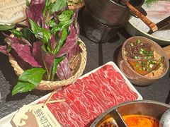 -大龙燚·旷野鲜火锅(广州首店)