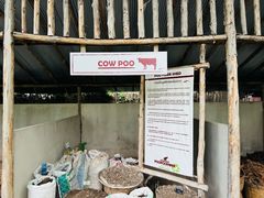 -大象粑粑造纸公园