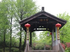 -绍兴镜湖国家城市湿地公园