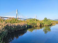 -芒洲湿地公园