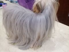 -艾贝尔宠物诊疗