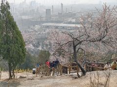 -白水寺森林公园