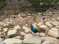 -无锡动物园·太湖欢乐园