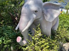 -西双版纳傣族园