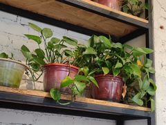 -崔记炸串(珠江店)