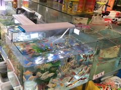 -曲阳花鸟市场(曲阳路店)