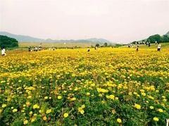 -光明小镇欢乐田园