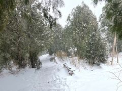 -龙洞风景区-藏龙涧