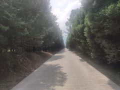 -秦始皇帝陵博物院-丽山园