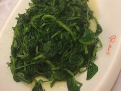 清炒豆苗-永兴餐厅(复兴中路店)