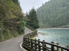 -武陵山森林公园