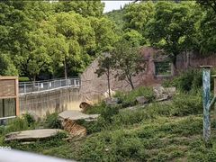 -无锡动物园·太湖欢乐园