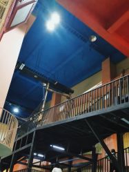 -未来动物城动物主题公园(大悦城店)
