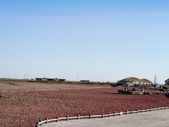 -红海滩国家风景廊道