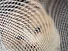 -宠颐生宠物医院·骨外科·犬猫全科诊疗中心(池州店)