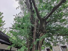-苏州碑刻博物馆