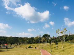 -牛岗山公园