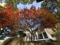 -西安市纺织公园