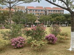 -厦门国家会计学院