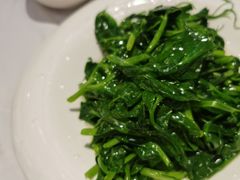 清炒豆尖-峨嵋酒家总店(车公庄店)