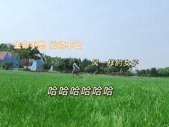 -宜兴龙背山森林公园