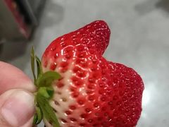 -心乐生活新鲜屋(星海广场店)