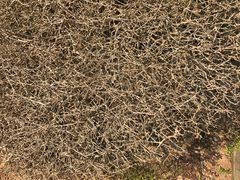 -苏州河梦清园环保主题公园